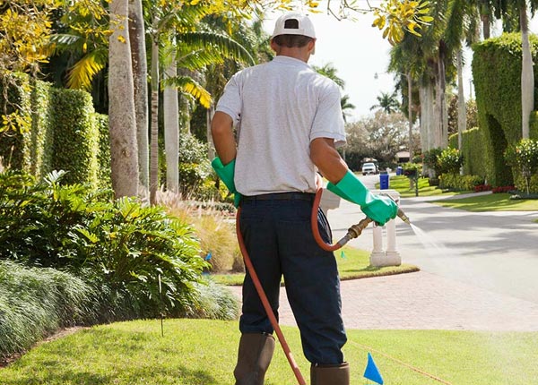 About Matthews GA Pest Control Pros